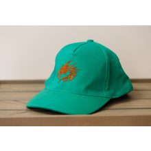 Hímzett baseball sapka